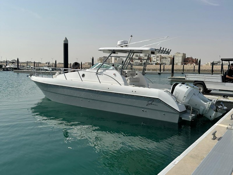 350 W Series: The Best Cruise Experience with Speed, Comfort and Style. 